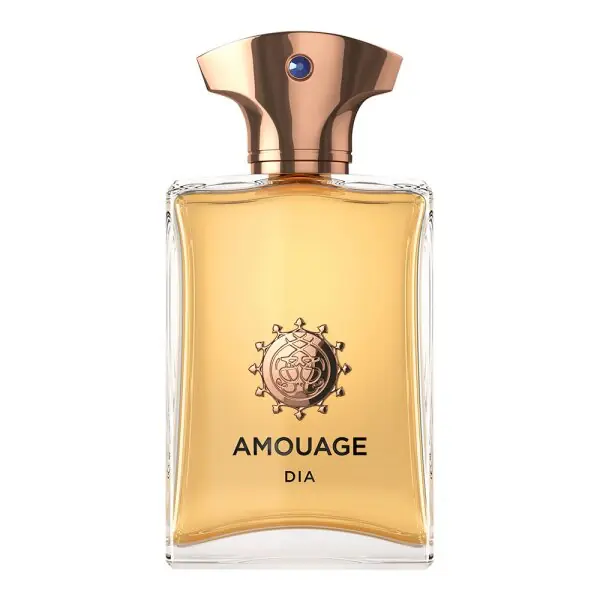 Amouage Dia - Man Top-Angebot