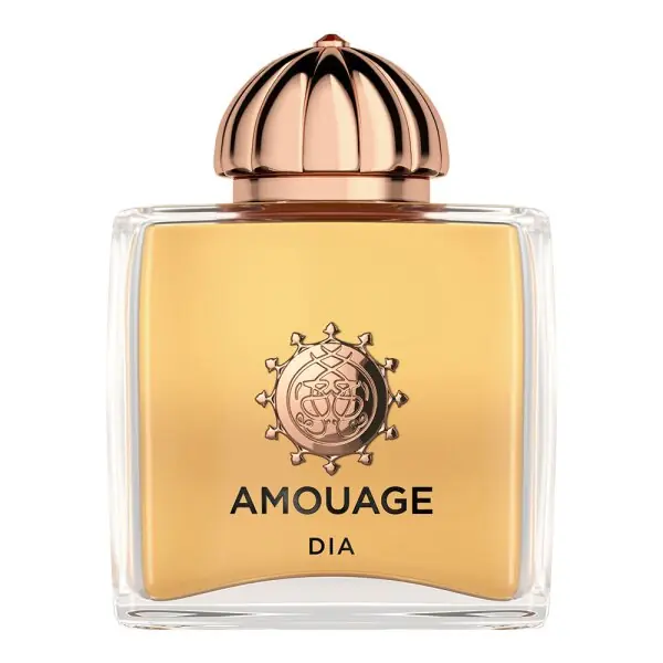 Sichere Zahlung Amouage Dia - Women