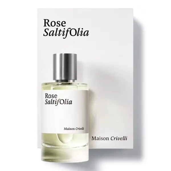 Maison Crivelli Rose Saltifolia Ausverkauf