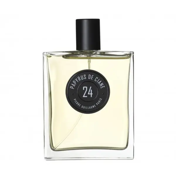 Pierre Guillaume Paris 24 Papyrus de Ciane Angebot