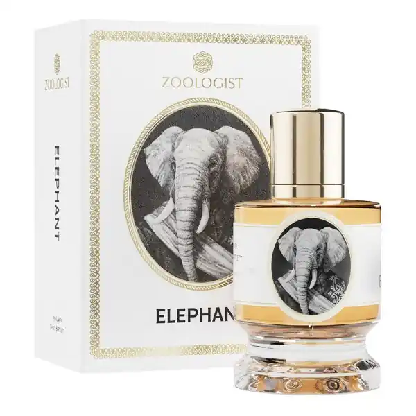 Zoologist Elephant Highlight