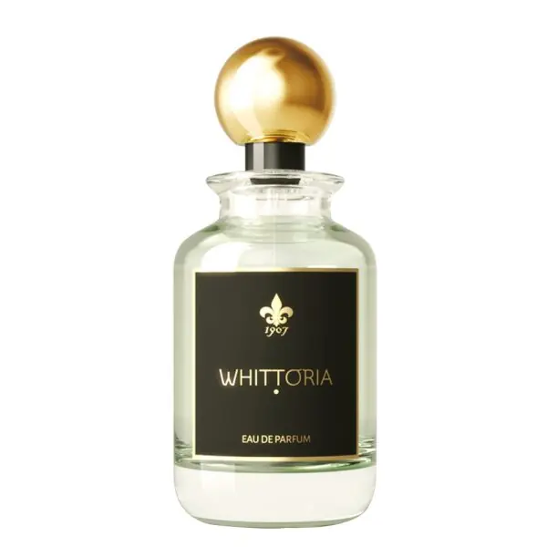 Preisknaller 1907 Fragment Collection - Whittoria