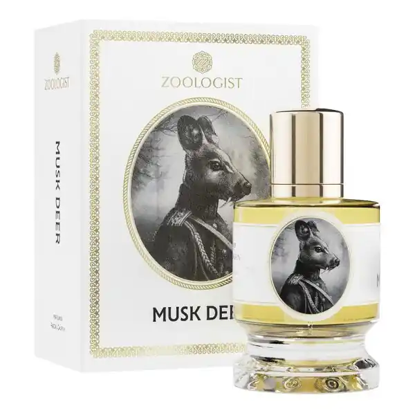 Expressversand Zoologist Musk Deer