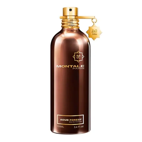 Aktuell Montale Paris Aoud Forest