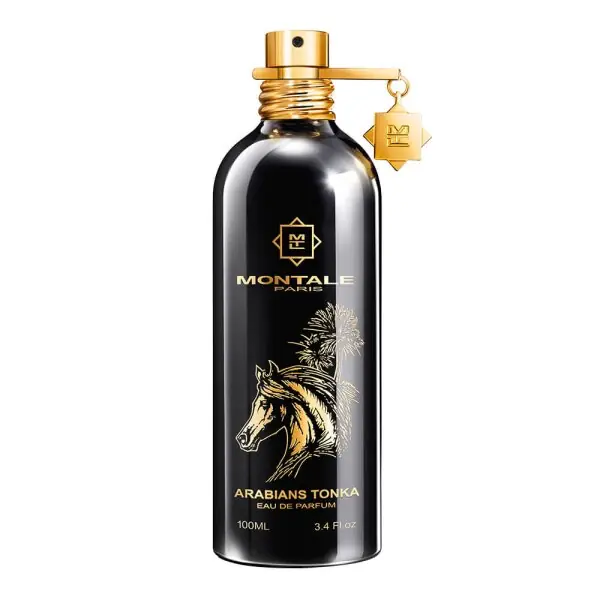 Versand Am Gleichen Tag Montale Paris Arabians Tonka