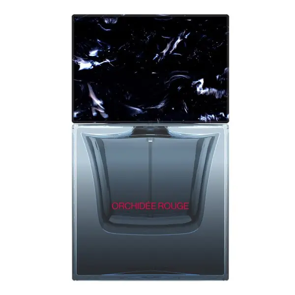 Sora Dora Orchidee Rouge Top-Preis