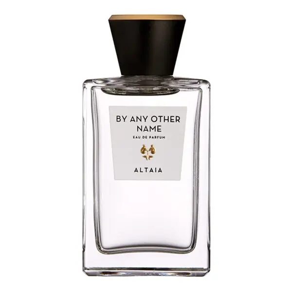 Letzte Chance Altaia By Any Other Name