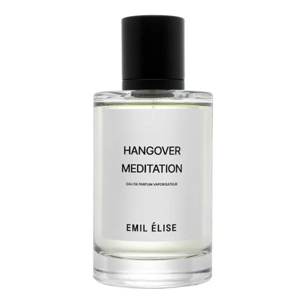 Expressversand Emil Élise Hangover Meditation