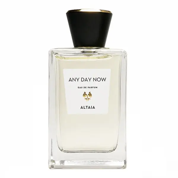 Altaia Any Day Now Preisknaller