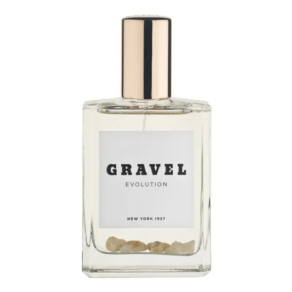 Gravel Evolution Schnäppchen