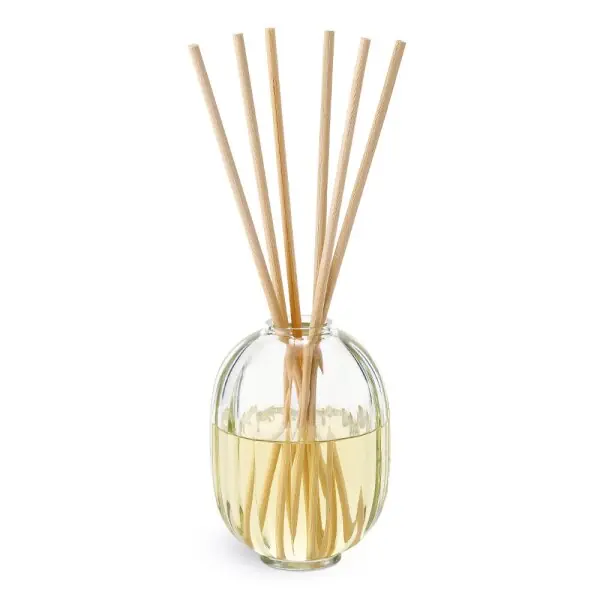 Neuheit Diptyque 34 Boulevard Saint Germain - Reed Diffuser