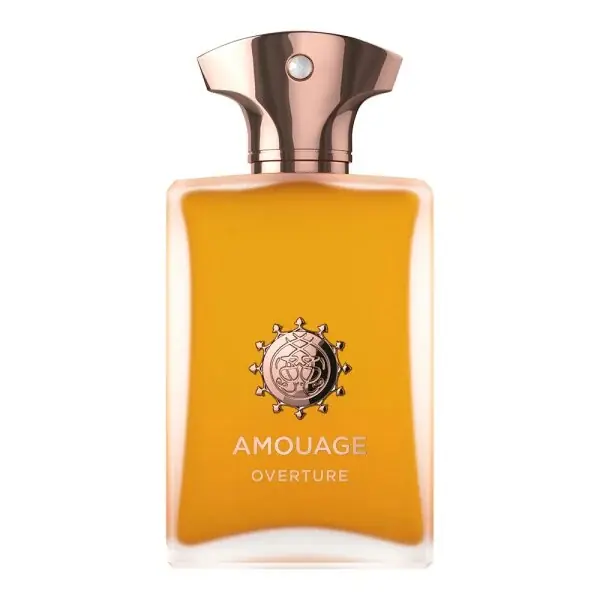 Direktkauf Amouage Overture - Man