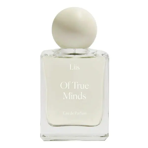Liis Of True Minds Preis Gesenkt