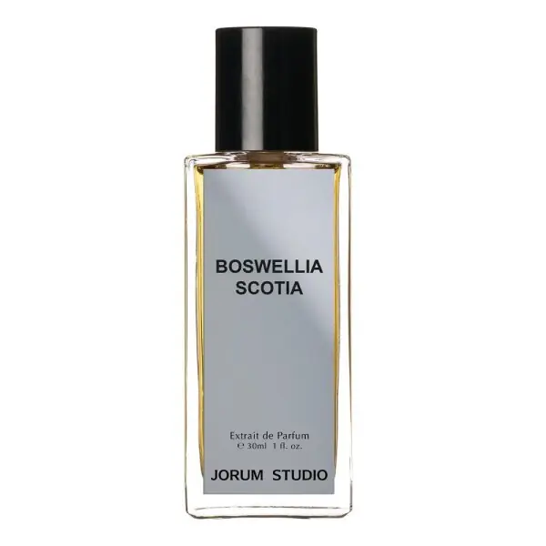 Jorum Studio Boswellia Scotia Top-Seller