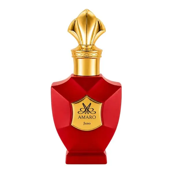 Amaro Juno Top-Preis