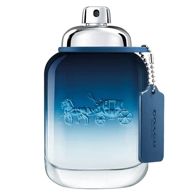 Saisonangebot Coach Blue Eau de Toilette
