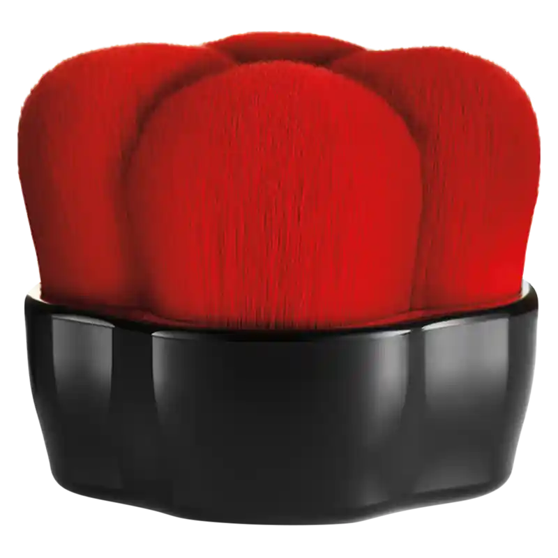 Echt Shiseido Brush Polishing Face