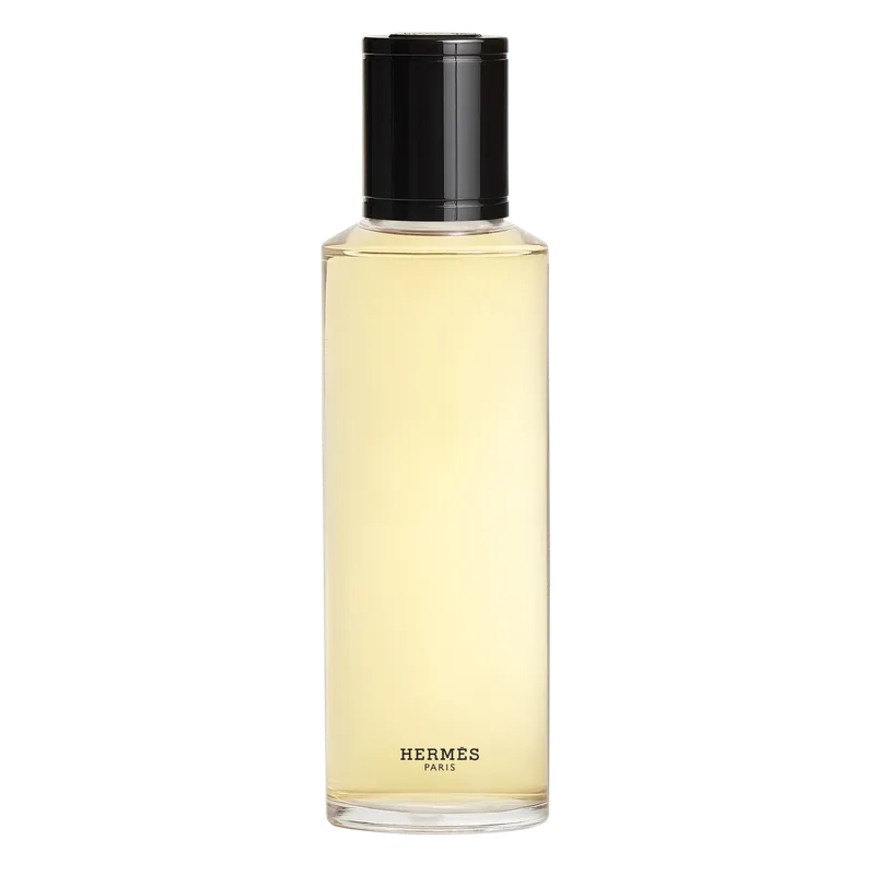 Highlight HERMÈS TERRE D‘HERMÈS PURE PERFUME REFILL
