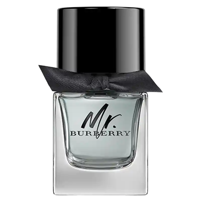 Burberry Mr. Burberry Eau de Toilette (EdT) Solange Der Vorrat Reicht