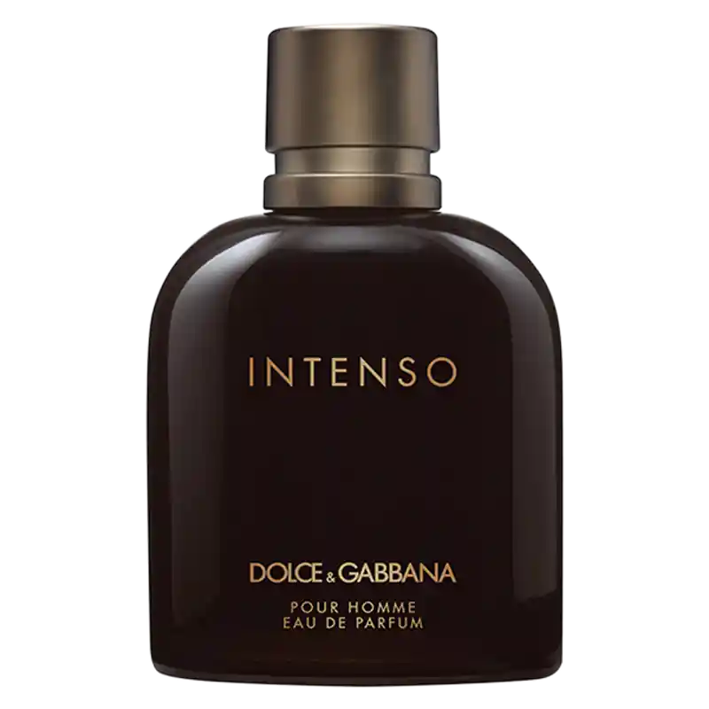 Top-Preis Dolce&Gabbana Pour Homme Intenso Eau de Parfum (EdP)