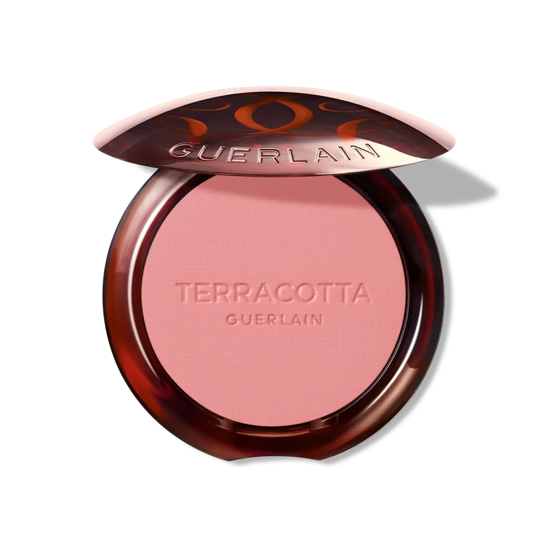 Guerlain Terracotta Blush Powder Super-Preis