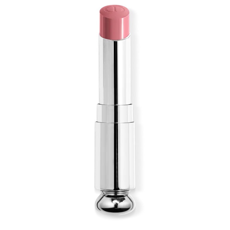 DIOR DIOR ADDICT Refill für den Lippenstift mit Glanz-Finish Echt