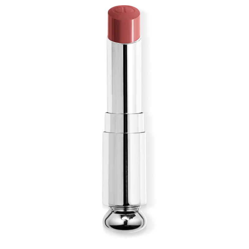 DIOR DIOR ADDICT Refill für den Lippenstift mit Glanz-Finish Nur Für Kurze Zeit