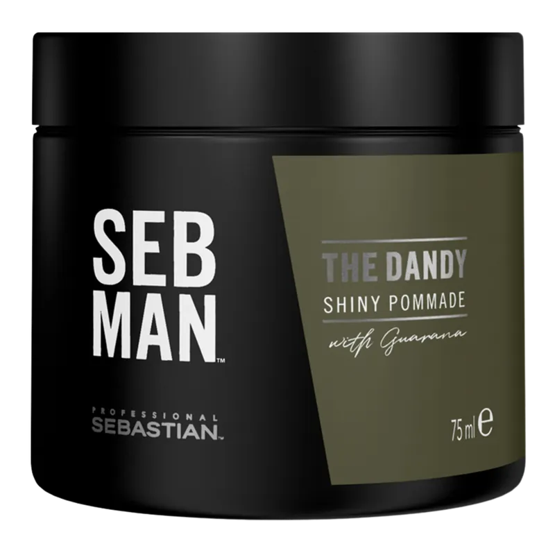 Sebastian Professional SEB MAN The Dandy Pomade mit leichtem Halt und glänzendem Finish Finale Aktion