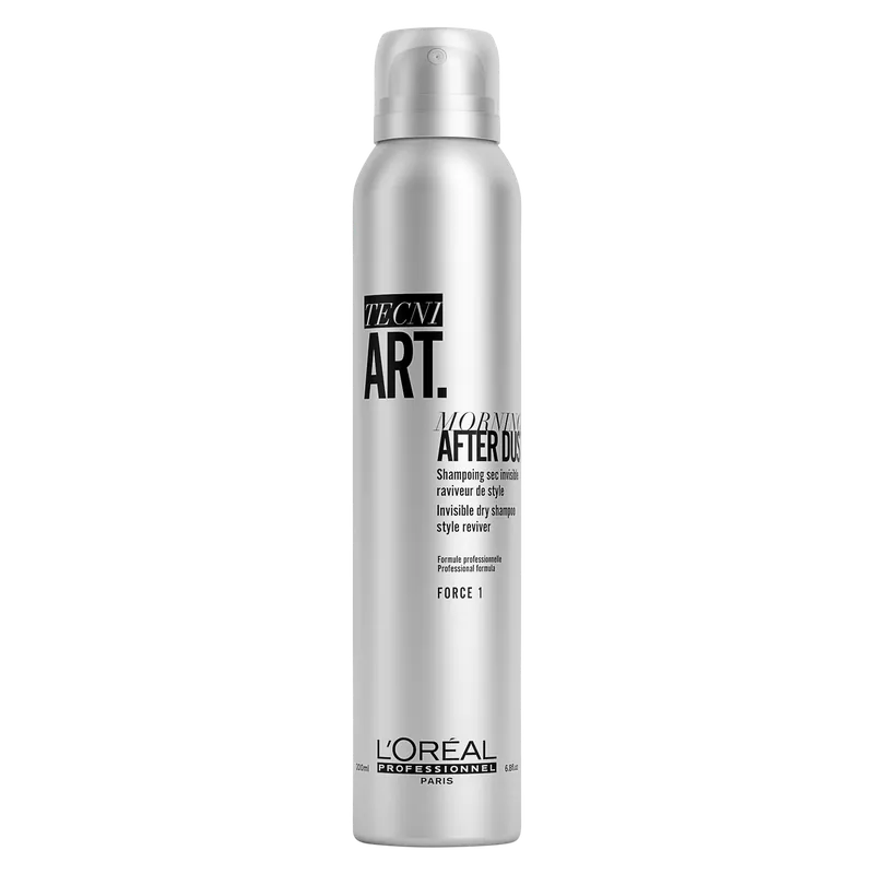Aktuell L‘Oreal Professionnel Tecni.art Grey Morning After Dust