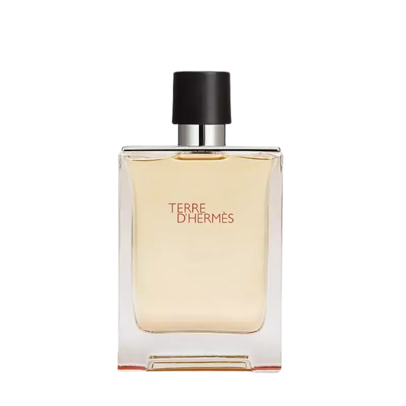 Sichere Zahlung Hermès Terre d‘Hermes Eau De Toilette 100ml