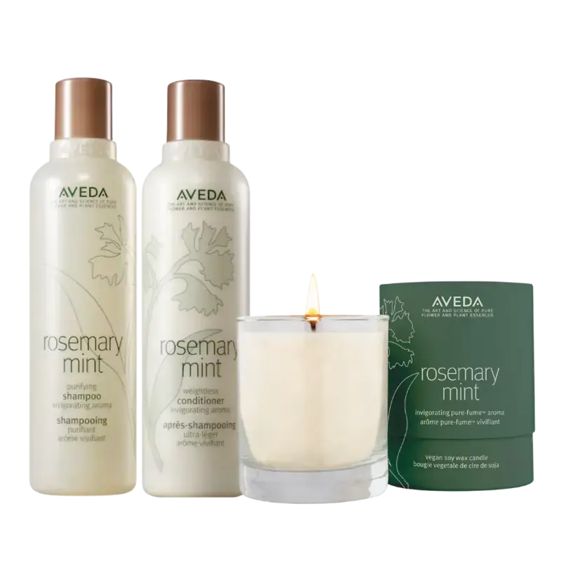AVEDA Rosemary Set Online Kaufen