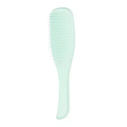 Kracherpreis Tangle Teezer Wet Detangling Jade Lagoon