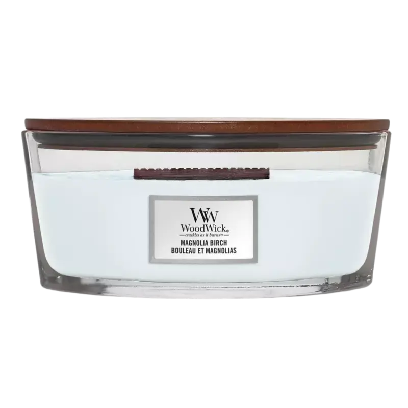 WoodWick Candle Magnolia Birch Ellipse Nur Heute