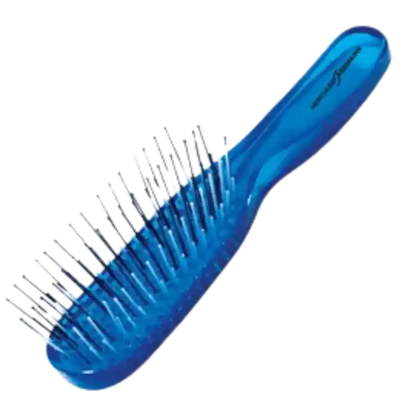 Echt Hercules Sägemann Scalp Brush Piccolo Blue