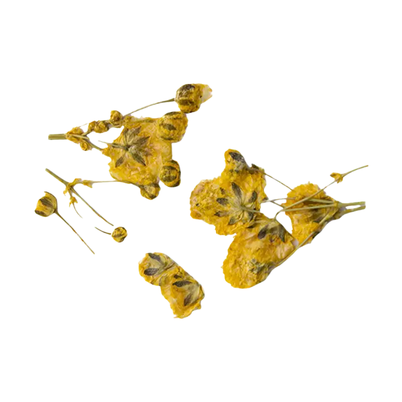 Nur Heute Peggy Sage Dried Flower Nail Decor Yellow Branches