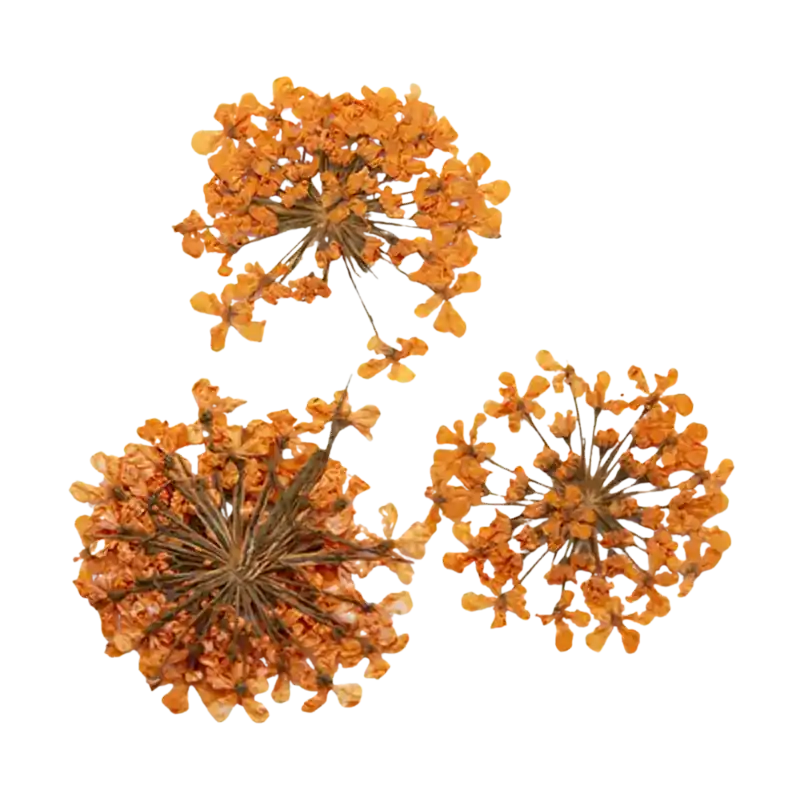 Begrenztes Angebot Peggy Sage Dried Flower Nail Decor Orange Bouquet