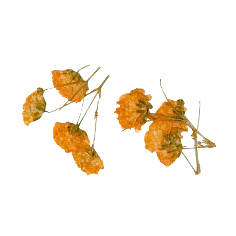Peggy Sage Dried Flower Nail Decor Orange Branches Expressversand
