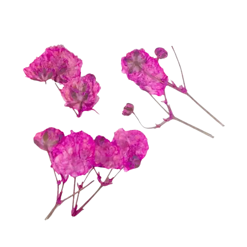 Peggy Sage Dried Flower Nail Decor Pink Branches Nur Heute