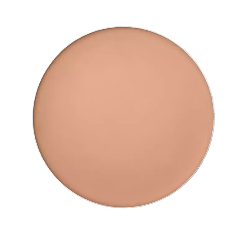 Sale Shiseido Tanning Compact Foundation SPF10 Refill Honey