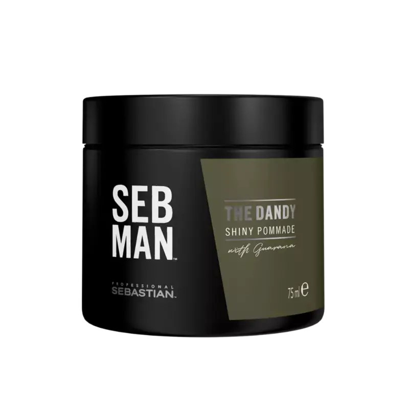 Sebastian Professional SEB MAN The Dandy Pomade 75ml Aktuell