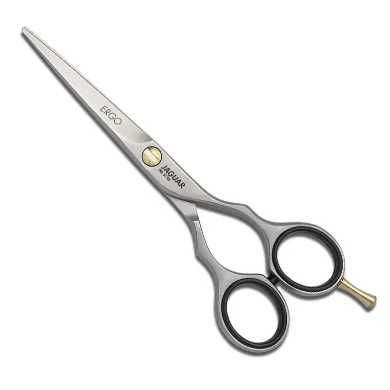 Sichere Zahlung Jaguar Pre Style Ergo 5,0 inch